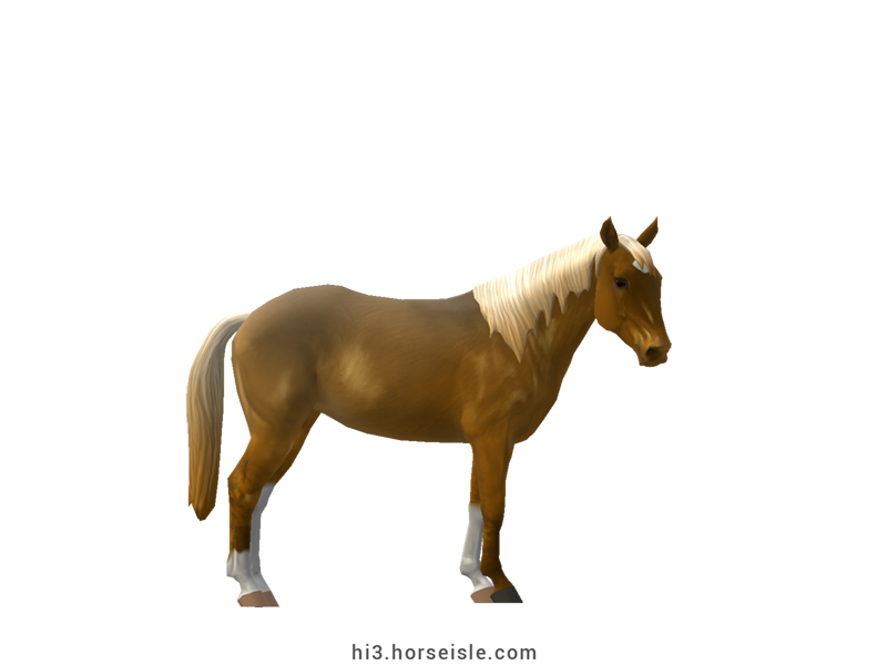 Brumby Flaxen Sooty Linebacked Golden Strawberry Roan Coat (normal view)